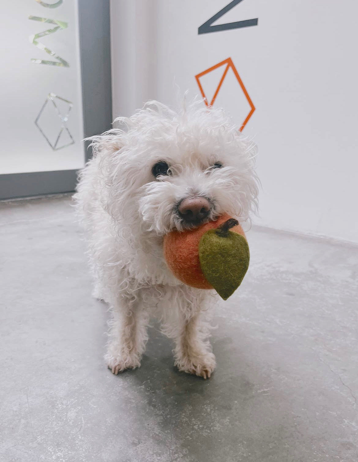 Doggy Peach Toy