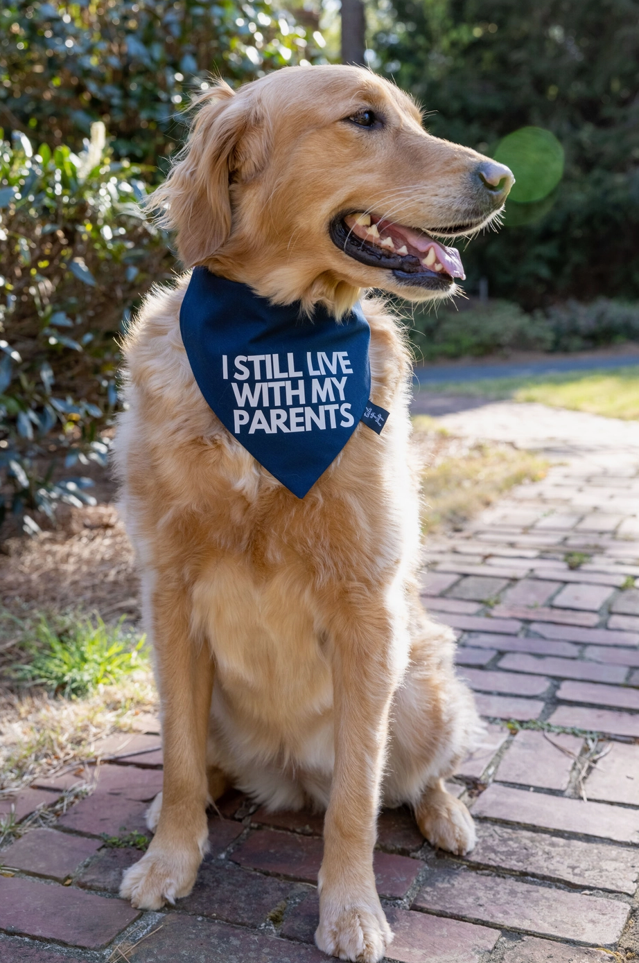 "I Still Live with My Parents" Dog Bandana